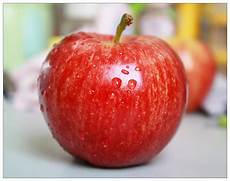 城战神途火爆新区《凤舞九天》英雄合击对战版本于20